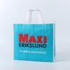 Bolsas de Compras Tejidas de PP Impermeables Personalizadas para Comercio Exterior, Bolsas Tote de Gran Capacidad, Bolsas de Regalo Promocionales para Exposiciones