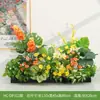 Hc-Dp3 Decoración Floral Artificial Minimalista Nórdica para Sala de Estar y Mesa de Comedor, Decoración Fresca para el Hogar