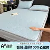 Novo Modelo Classe A 100% Polipropileno Mat Refrescante de Gelo em Grãos Conjunto de Três Peças com Design Jacquard, Sensação de Alto Padrão, Lavável à Máquina, Mat Macio com Ar Condicionado