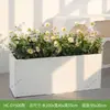 Combinação de Plantas Verdes Artificiais Hc-Dy5 para Paisagismo de Decoração de Janelas, Vasos de Flores, Jardineiras, Paisagismo de Divisórias, Exibição Interna e Externa