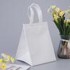 Bolsa Térmica para Bolo, Levar para Viagem Churrasco Hot Pot, Conservação Fria de Frutos do Mar, Bolsa Térmica de Grande Capacidade, Sacola Tote de Embalagem de Folha de Alumínio