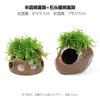Aquário Musgo Terrário Planta Aquática Paisagismo Planta Real Tanque de Esconderijo para Peixes e Camarões Casa de Camarão Pequeno Ornamento Casa de Esconderijo para Criação de Peixes Pequenos
