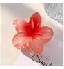 Nuevo pasador de pelo acrílico de frangipani de colores, pinza de flor, accesorio para el cabello elegante y sofisticado para mujer, pinza de tiburón lateral