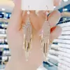 Moda Europea y Americana Exagerados Pendientes Largos con Borlas Completamente Incrustados de Diamantes Pendientes Largos de Temperamento Socialité para Mujer Pendientes para Rostro Delgado Pendientes de Celebridad de Internet