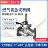 Venta Directa de Fábrica de Válvula Solenoide Manual Integrada a Prueba de Explosiones Conectada por Brida, Normalmente Cerrada, Se Abre al Energizarse Zcrb