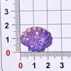 Serie Océano Simulado Conchas y Estrellas Marinas Funda de Teléfono DIY Accesorios para el Cabello Dijes para Zapatos Llaveros Colgantes Collares Pendientes Resina