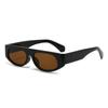 Gafas de Sol Cat-Eye de Lujo Accesibles Transfronterizas para Mujer Gafas de Moda de Gama Alta Estilo Ins Gafas de Sol Rectangulares de Patilla Ancha Hip-Hop