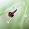 Ambientador de Coche 3D de Resina Creativa con Pinza para Rejilla de Aire Acondicionado de Coche Decoración Navideña para Uso en Automóvil