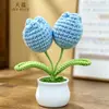 Planta de Tulipa em Vaso Crochê Feito à Mão Lã Flor Artificial Ornamento de Mesa Produto Acabado Decorativo Lembrança
