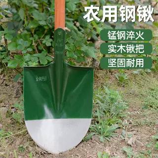 绿白头锹