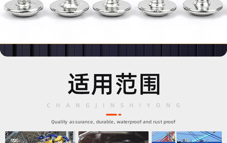 镀镍十字圆头带垫自攻螺丝_03_20.jpg