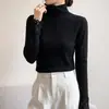 Suéter de terciopelo Andy de otoño e invierno para mujer, de cuello semi-alto, con mangas huecas, elegante, con puños ligeramente transparentes, suave y amigable con la piel, top de punto adelgazante