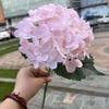 Hortensia verde hidratante de comercio exterior, tacto suave de goma, hortensia de una sola cabeza, hortensia grande, decoración suave para bodas, fabricante de flores falsas