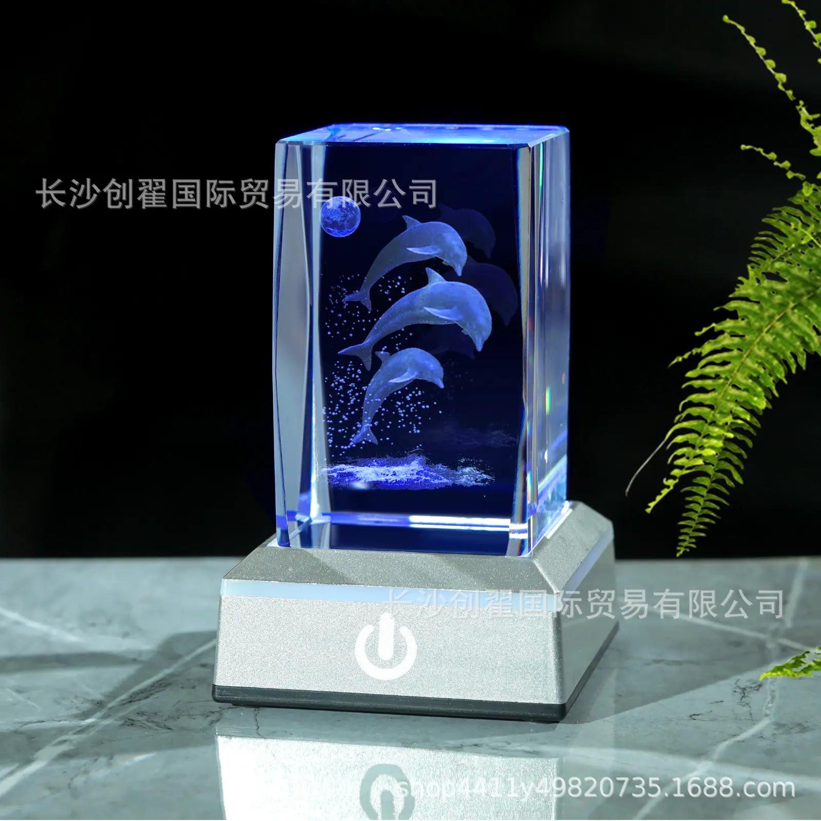 海豚_08.jpg