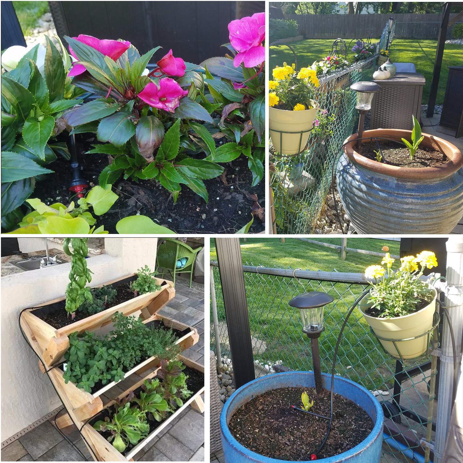 81EBkKcKwyL._SL1500_