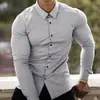 Camisas Versátiles Casuales para Hombre de Primavera y Otoño de Importación Tendencia Deportiva Elegantes Camisas de Manga Larga Color Sólido Camisas de Vestir con Cuello