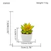 Oferta Especial do Fabricante: Plantas Suculentas Artificiais em Vasos de Cerâmica para Mesas de Escritório Internas, Pequenas Plantas Verdes em Vasos, Flores Artificiais, Plantas Suculentas em Vasos