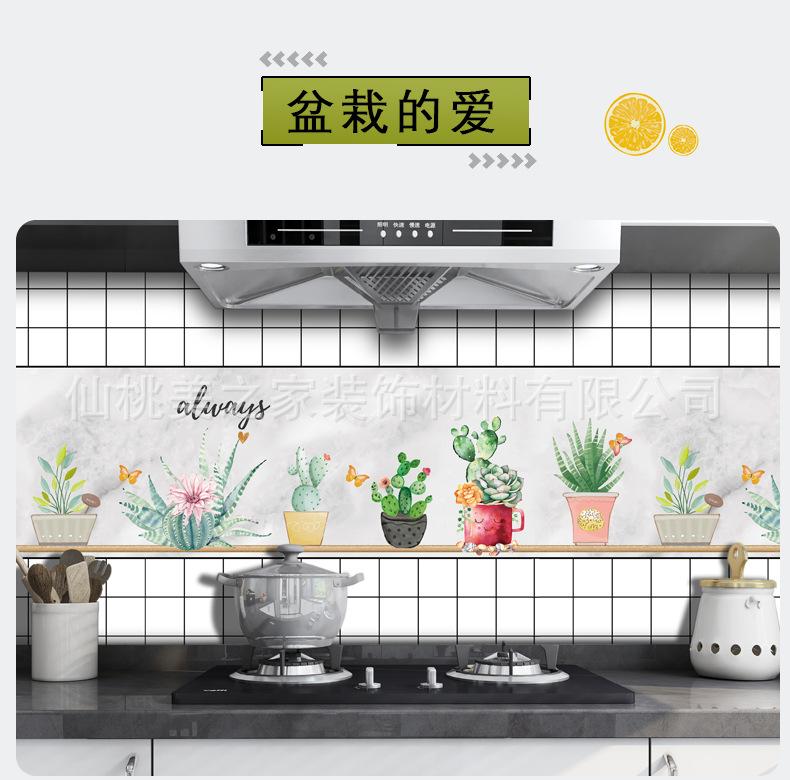 盆栽的爱.jpg