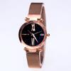 Venta al por mayor de fábrica trémolo más vendido con cielo estrellado moda retro cielo estrellado malla ferromagnética correa reloj estudiante femenina coreana