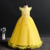 Vestido de Festa Infantil com Renda Bordada Vestido de Princesa para Crianças Maiores Vestido para Meninas de Performance Noturna