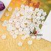 Directo de fábrica flor pequeña concha flor pulida 10m concha natural tallada flor pequeña de ciruelo colgante accesorios colgante