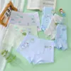 Ropa interior para niños, Calzoncillos tipo bóxer de algodón transpirable antibacteriano para niños Clase A, Calzoncillos tipo bóxer antibacterianos para niños, Shorts para bebé S-5XL
