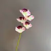 Venda Quente Transfronteiriça 5 Flores Phalaenopsis de Bebê Artificiais Flores Decoração de Casamento Props para Fotografia Decoração de Casa Atacado