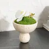 Lujo Ligero Musgo Sintético Imitación Travertino Maceta Decoración del Hogar Hotel Salón de Belleza B&B Adornos Decorativos Gama Alta