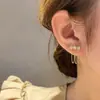 Brincos de zircônia com franja estilo Yang Chaoyue luxo leve Alto senso 2024 novos modernos simples elegantes brincos de prata esterlina