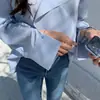 Camisa Elegante de Manga Larga para Mujer, Moda Coreana Dongdaemun, Chic de Alta Calidad, Chica Juguetona, Diseño Francés