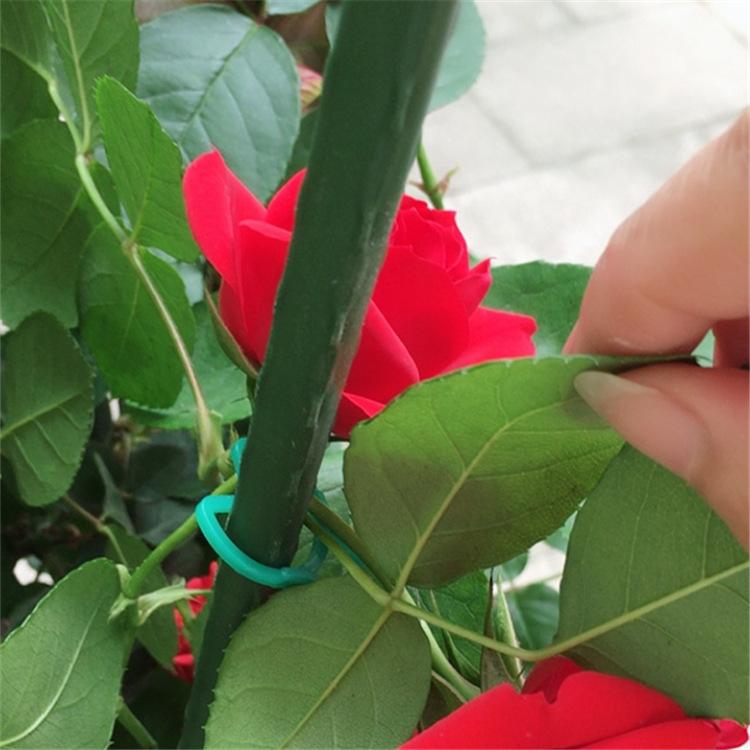 O1CN014ooRsa2KYC5CwU0WM_!!0-ra