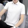 Camisa Polo Comercio Exterior para Hombre Corte Único Etiqueta Individual Verano Encaje Camiseta de Manga Corta Seda de Hielo Sensación de Hielo Cuello de Hombre Camiseta de Hombre