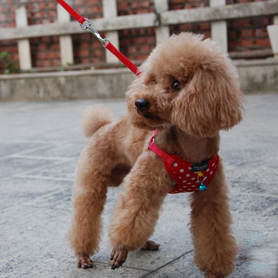 pet products harness vest mesh