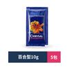 Holland Koli Pó Conservante para Flores Frescas Flores de Corte Flores de Rosa Sacos Universais Solução Nutritiva Especial para Buquê