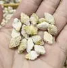 Venta Caliente Transfronteriza Colgante de Perla de Imitación de Concha Acrílica Colgante de Mariposa Estrella de Mar Caracola Accesorios de Ropa DIY Venta al por Mayor