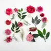 37 peças de grama aquática folha imitação boutique flor de crisântemo vermelho pêssego pacote de material de flor para grampo de cabelo produtos quentes Shein