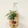 Conjunto de Plantas Verdes Hidropônicas de Parede com Suporte de Parede de Madeira Natural para Sala de Estar, Quarto, Mesa, Decoração Fresca, Plantas Fáceis de Cuidar