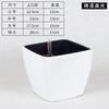 Laizhixiu maceta autoabsorbente cuadrada de escritorio para plantas carnosas de plástico con acabado de pintura al horno Rosa verde maceta autoabsorbente para gente perezosa venta al por mayor