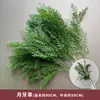 Verdor para Bodas Plantas Artificiales Arreglo Floral Gypsophila Eucalipto Estilo Natural Flores Artificiales Flores de Seda Decoración de Boda Materiales Florales