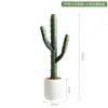 Cactus Falso Simulado Planta Verde en Maceta Florero Decorativo Adornos Pared de Fotos Fondo Simple Planta del Desierto Bonsái
