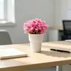 Suministro directo transfronterizo de mini gipsófilas en maceta, macetas tipo helado, flores artificiales, bonsáis de escritorio, macetas decorativas para hoteles y casas de huéspedes