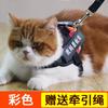 Correa para gatos antirroturas, especial para pasear y vapear, collar con cuerda para gatitos, cadena para mascotas