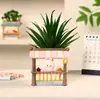 Ornamento Criativo Multifuncional para Jardim Doméstico, Decoração de Mesa, Vasos de Resina para Suculentas, Vasos Pequenos de Flores Feitos à Mão, Porta-Canetas de Armazenamento para Estudantes