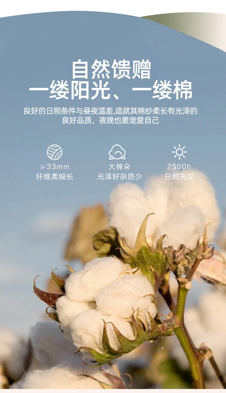 北欧花境 (5).jpg
