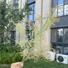 Outono 2026 Plantas Verdes Artificiais Casamento Decoração de Casa Plantas Verdes Falsas Atacado