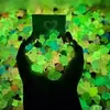 Bolsa Sorpresa Luminosa 3D de Dibujos Animados, Modelo Miniatura que Brilla en la Noche, Adorno de Juguete para Niños, Regalo de Verano, Hecho a Mano