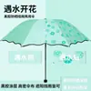 Las flores florecen al exponerse al agua, Sombrilla de verano, Doble uso para sol y lluvia, Paraguas manual, Paraguas de protección solar, Paraguas plegable, Sombrilla, Personalizable