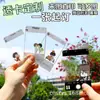 Mercadorias Transparentes Personalizadas de Celebridades, Fotos de Shows, Folhas de PVC Personalizadas, Suporte a Personalização em Pequena Escala