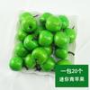 20 Un paquete de simulación Mini modelo pequeño de fruta espuma modelo de verdura material didáctico de jardín de infantes decoración hecha a mano DIY