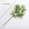 Pino Negro Falso, Pino Cola de Caballo, Abeto, Pino de Cinco Agujas, Arborvitae, Ramas de Pino, Acículas de Pino, Hojas Verdes de Tuya Atrezzo